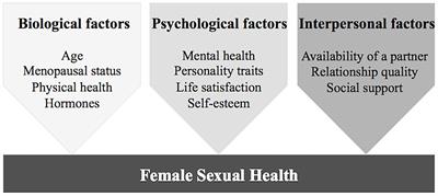 Frontiers Psychobiological Factors of Sexual Functioning in